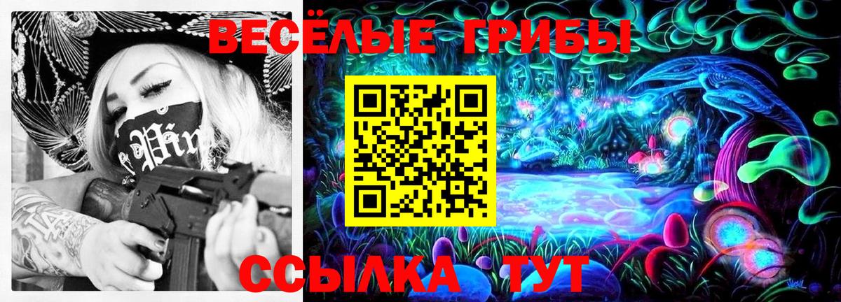 Галлюциногенные грибы Psilocybine cubensis Туймазы